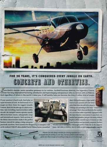 Pubblicità aereo caravan
